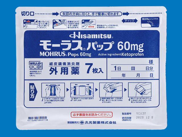 モーラスパップ60mg 内装